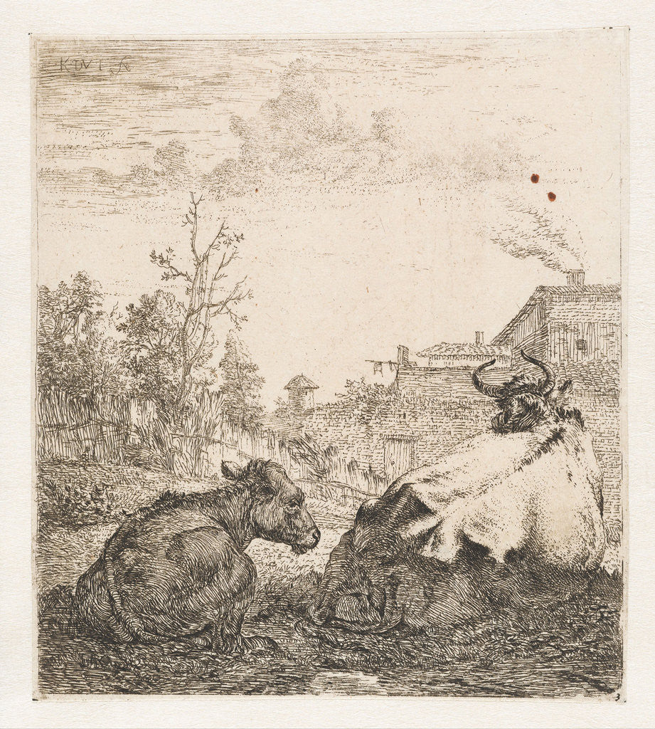 Detail of Lying cow with calf by Karel Dujardin