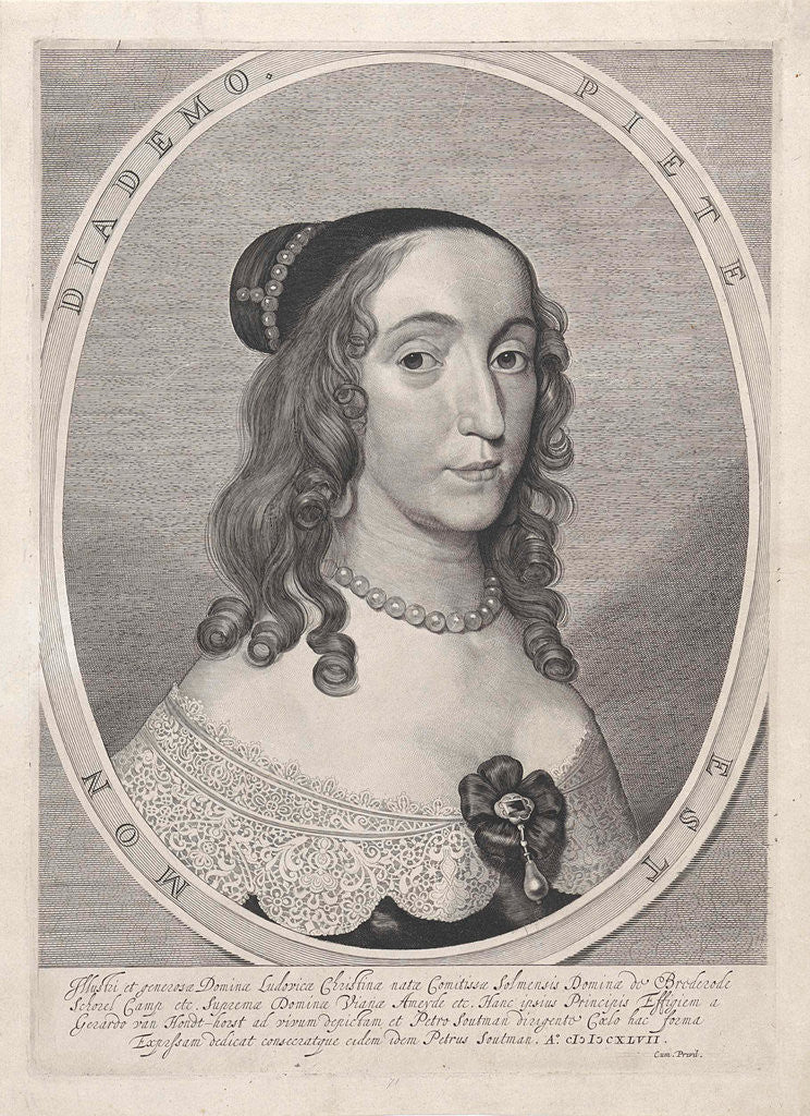 Detail of Portrait of Ludovica Christina of Solms-Braunfels by Anonymous