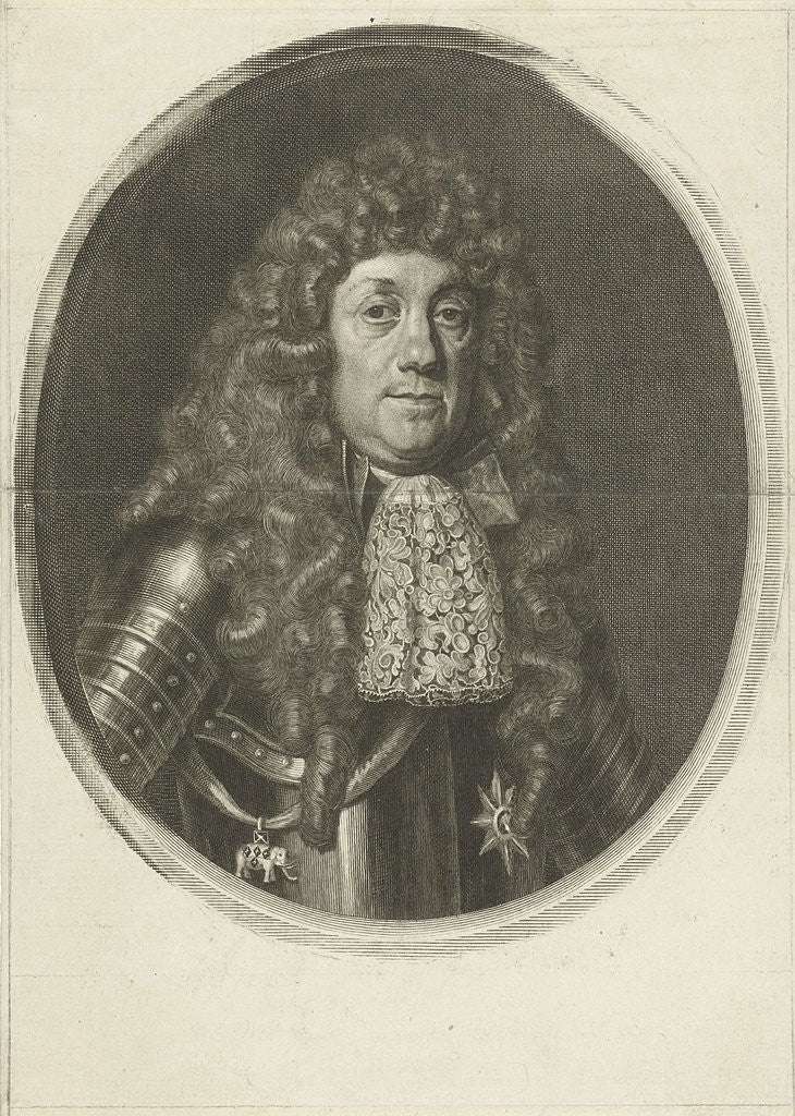 Detail of Portrait of Cornelis Tromp by David van der Plas