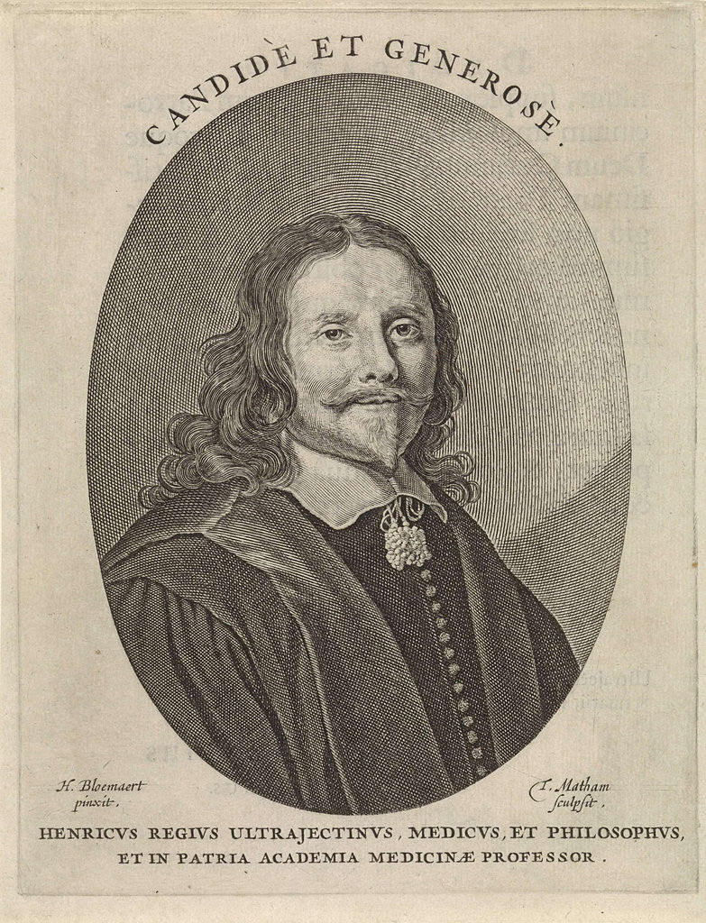 Detail of Portrait of Henricus Regius by Theodor Matham
