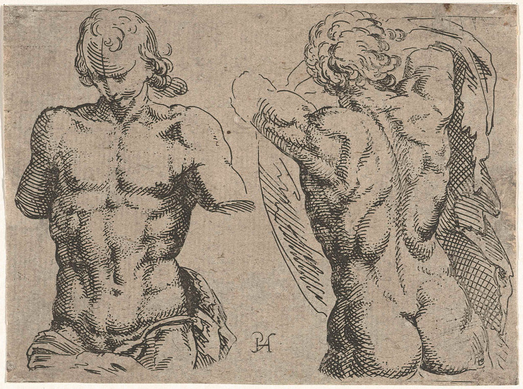 Study Sheet with two male torsos by Pieter Feddes van Harlingen