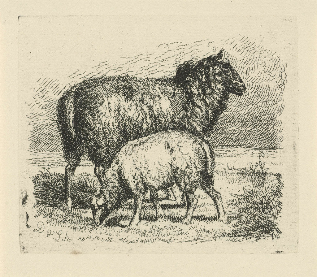 Detail of Black Sheep with lamb by Dirk van Lokhorst