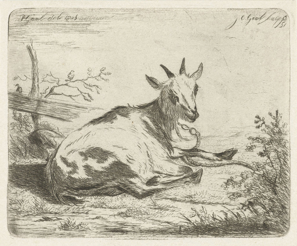 Detail of Lying goat, to the right by Jacobus Cornelis Gaal