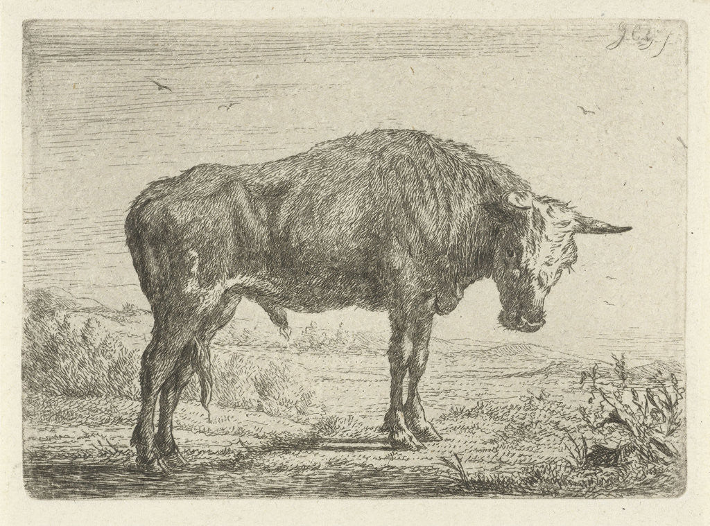 Detail of Standing bull by Jacobus Cornelis Gaal