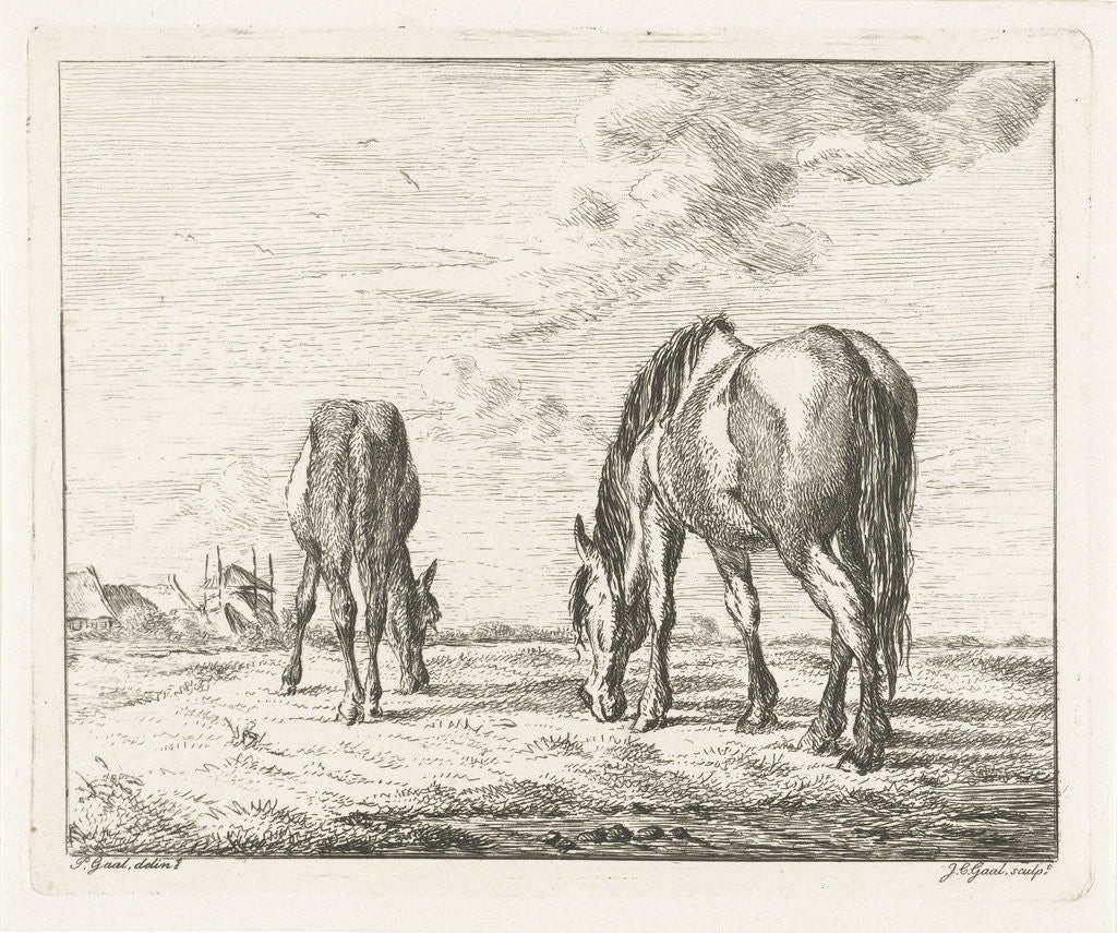 Detail of Two grazing horses by Jacobus Cornelis Gaal