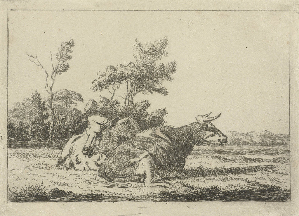 Detail of Two white cows lying in front of a group of trees by Pieter Gaal