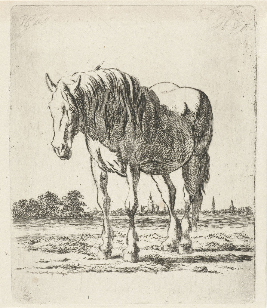 Detail of Single white horse by Jacobus Cornelis Gaal