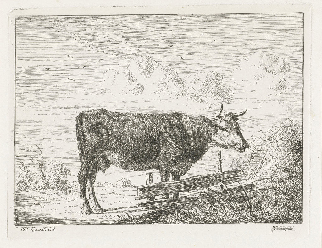 Detail of Cow standing by a fence by Jacobus Cornelis Gaal