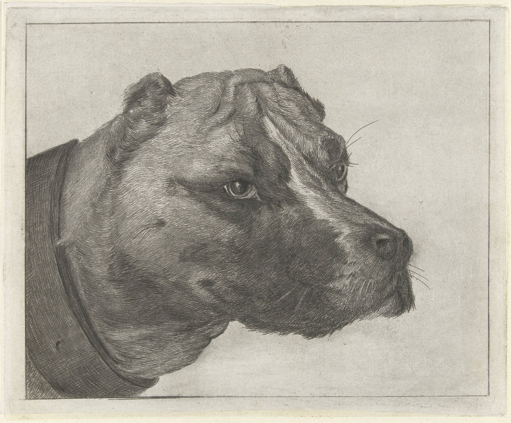 Detail of Dogs head with collar by Pieter Gaal
