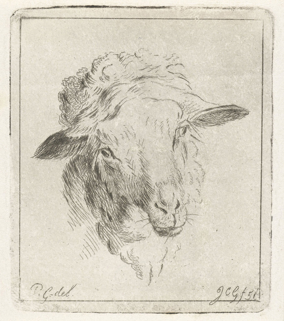 Detail of Head of a sheep by Jacobus Cornelis Gaal