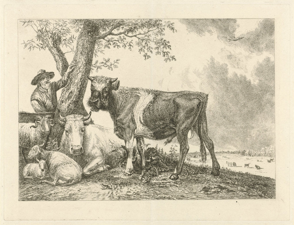 Detail of Taurus and farmer by Paulus Potter