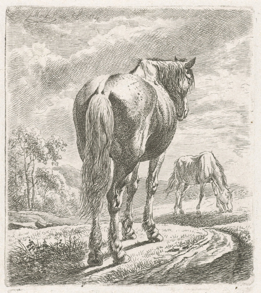 Detail of A horse is seen obliquely from behind, In the background a grazing horse by Johannes Mock