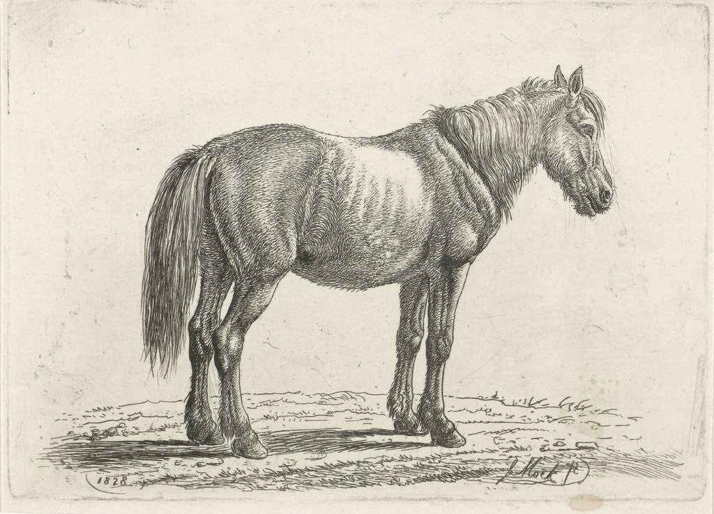 Detail of Single horse right by Johannes Mock