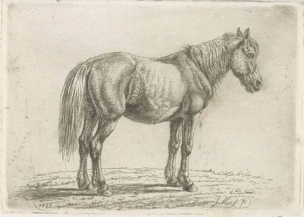 Detail of Single horse right by Johannes Mock