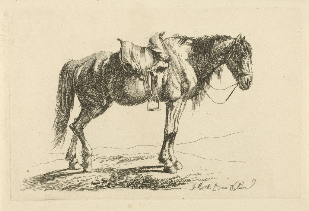 Detail of Saddled horse right by H. Klein