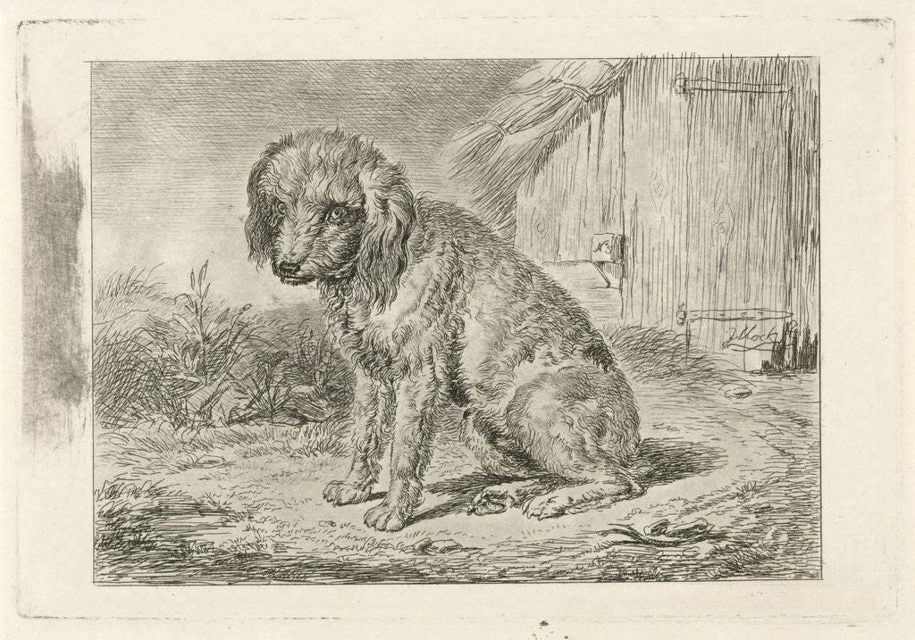Detail of Sitting dog in a barn by Johannes Mock