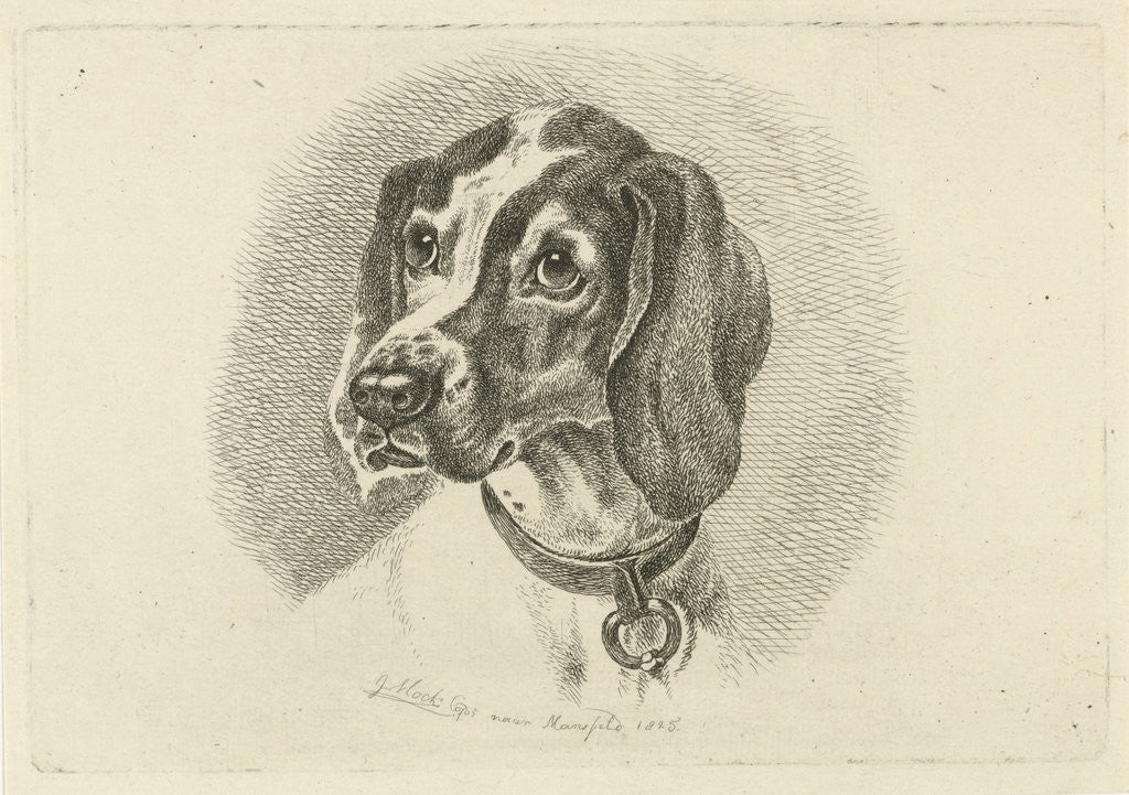 Detail of Dogs head with a necklace with ring by Johannes Mock