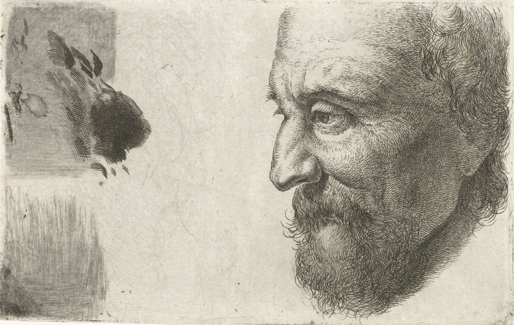 Detail of Face of an old man in profile by Johannes Mock