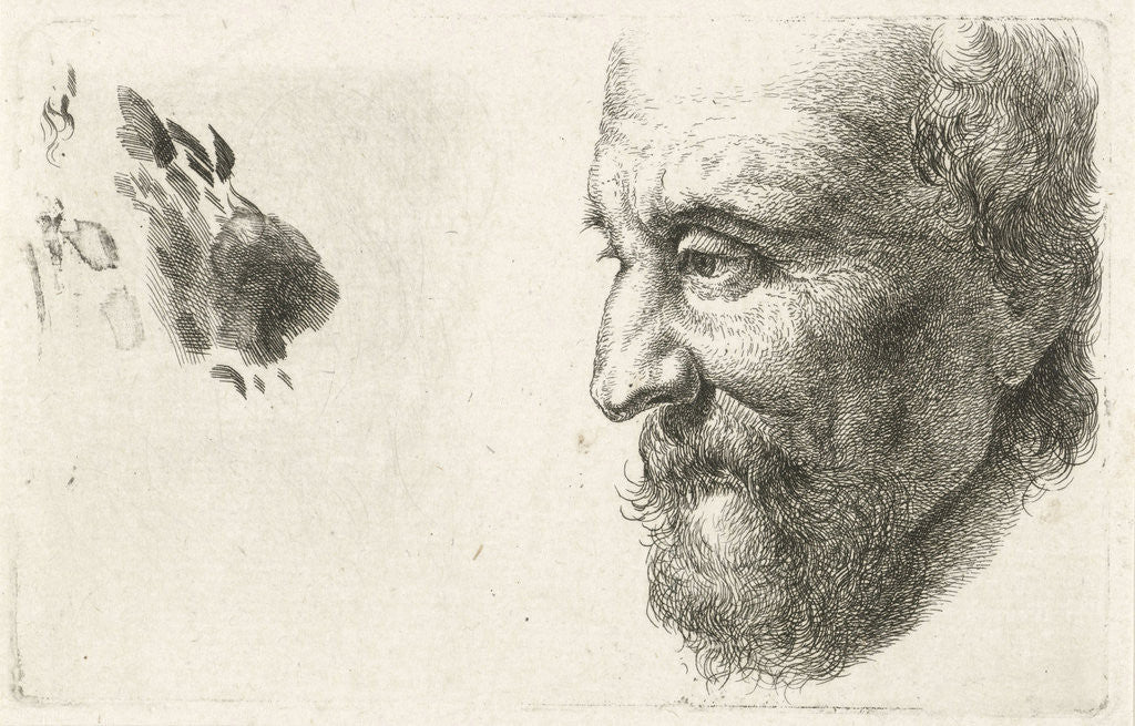 Detail of Face of an old man in profile by Johannes Mock