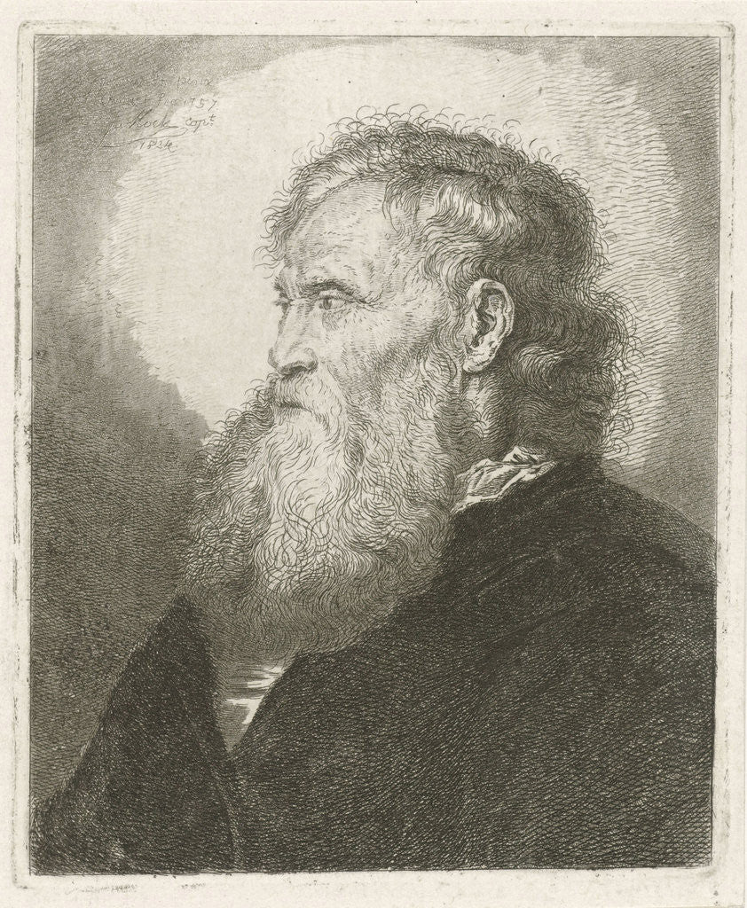 Detail of Portrait of an old man with beard by Johannes Mock