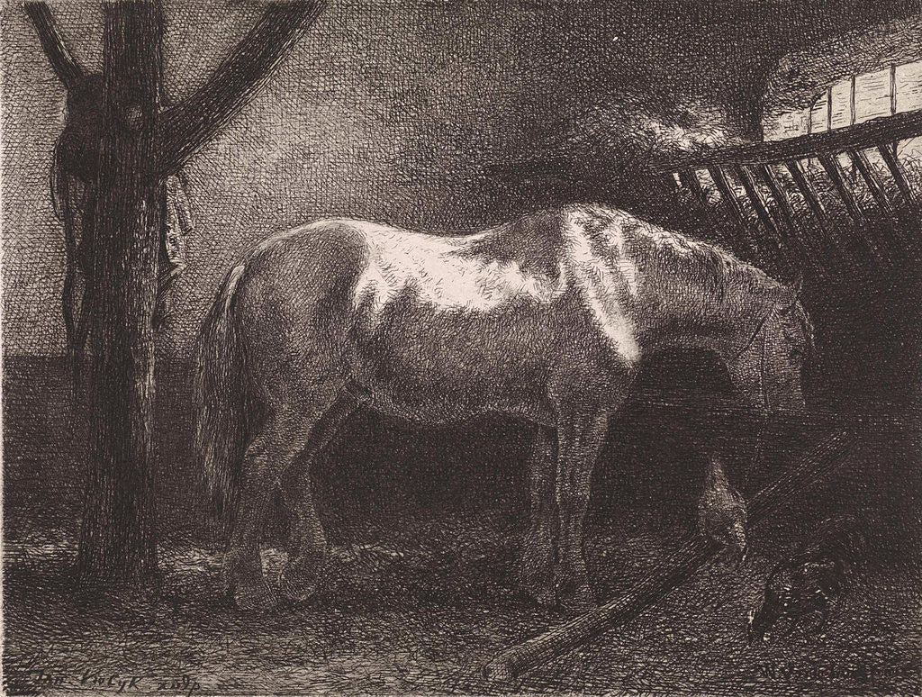 Horse in stable by Jan Vrolijk