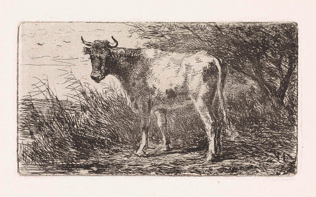 Detail of Cow on the bank of a river by Jan Vrolijk