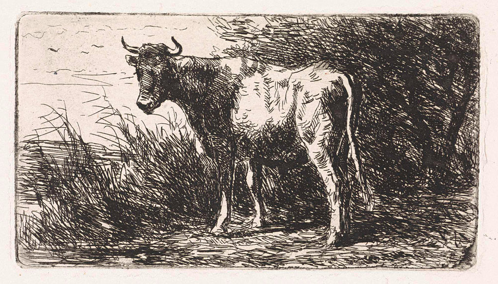 Detail of Cow on the bank of a river by Jan Vrolijk