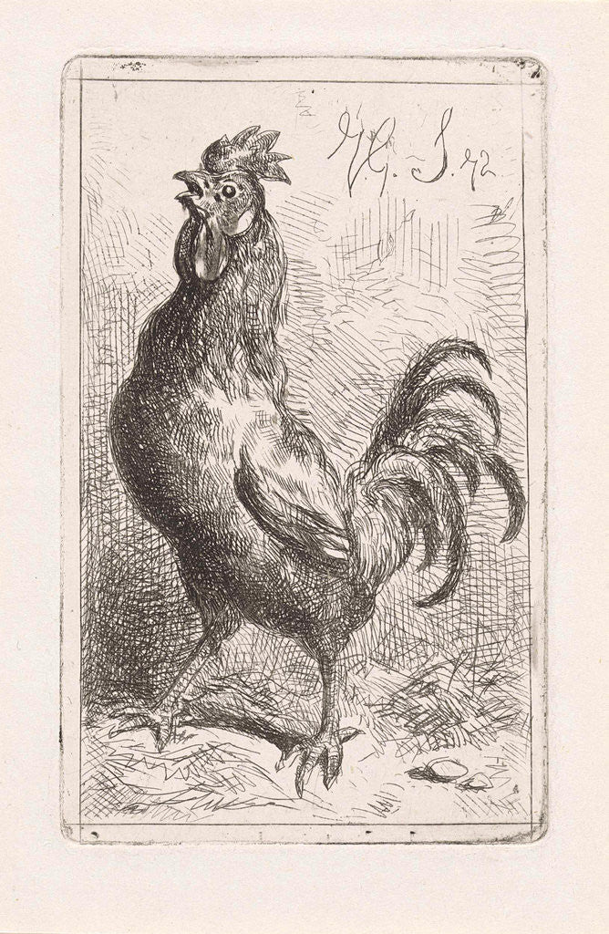 Detail of Crowing cock by Jan Gerard Smits