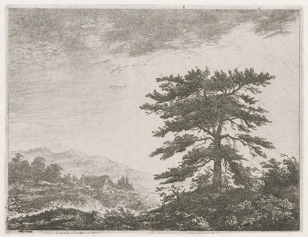 Detail of Tree in a moorland by Christiaan Wilhelmus Moorrees