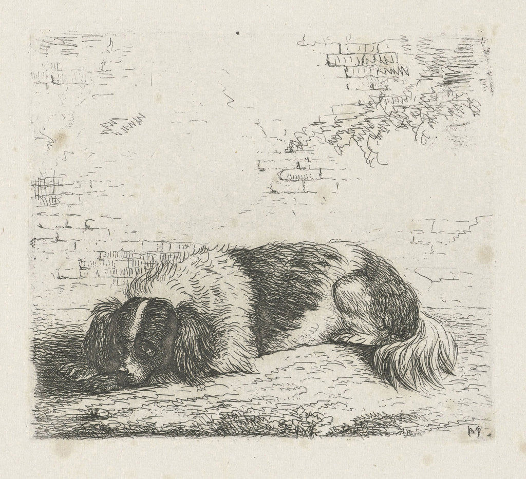 Detail of Lying dog left by Christiaan Wilhelmus Moorrees