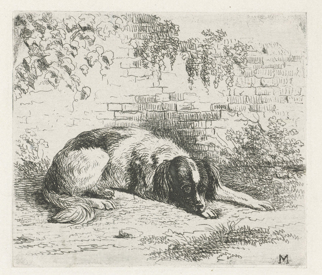 Detail of Reclining dog in front of a wall by Christiaan Wilhelmus Moorrees