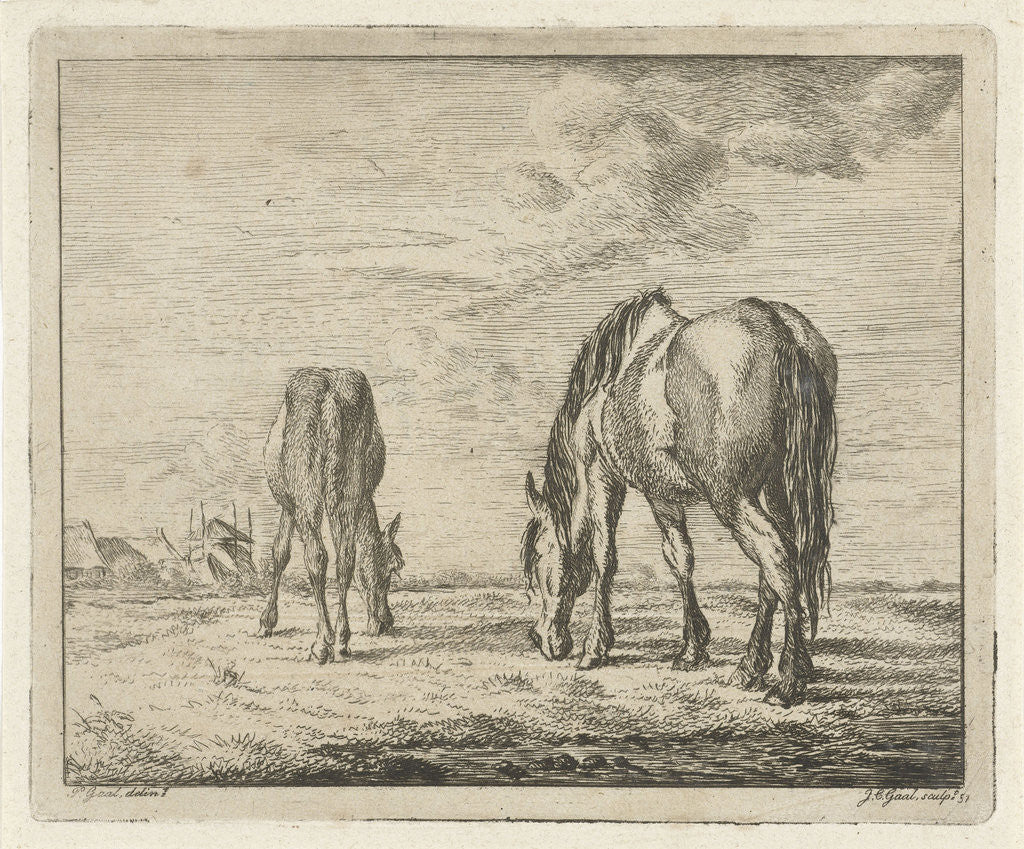Detail of Two grazing horses by Pieter Gaal