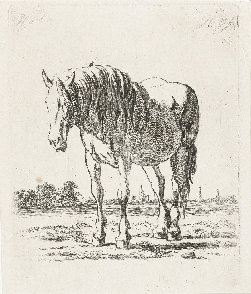 Detail of Single white horse by Jacobus Cornelis Gaal