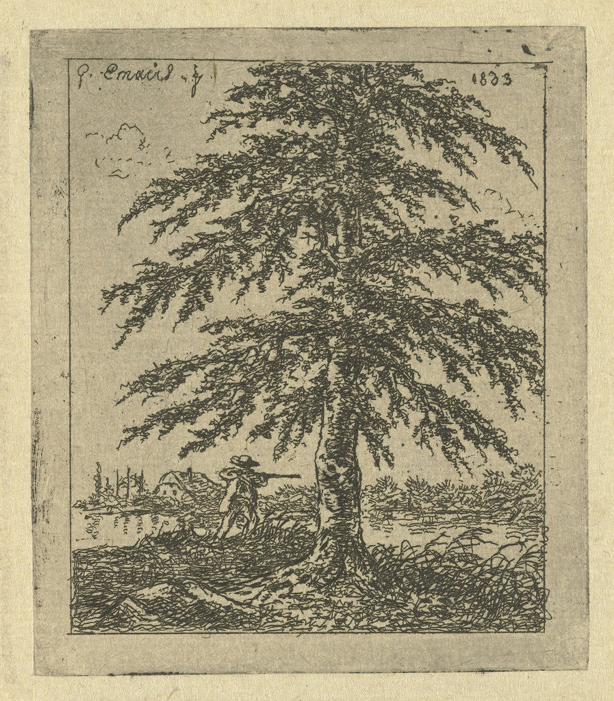 Detail of Under a beech a hunter aims his rifle at a duck by Gerardus Emaus de Micault