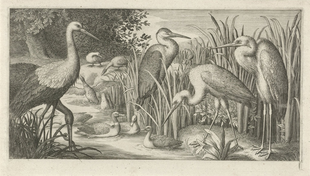 Detail of Storks and ducks at a pond by Jan van Londerseel