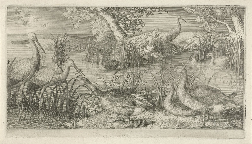 Detail of Waterfowl in a pond by Jan van Londerseel