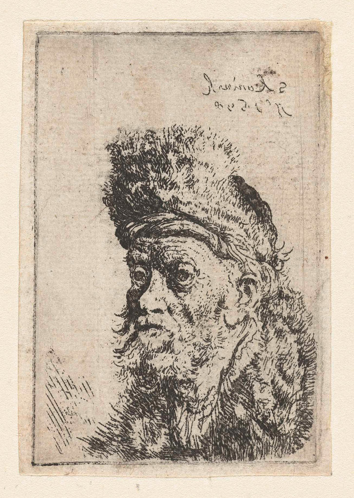 Detail of Bust of a man with fur hat by Salomon Koninck