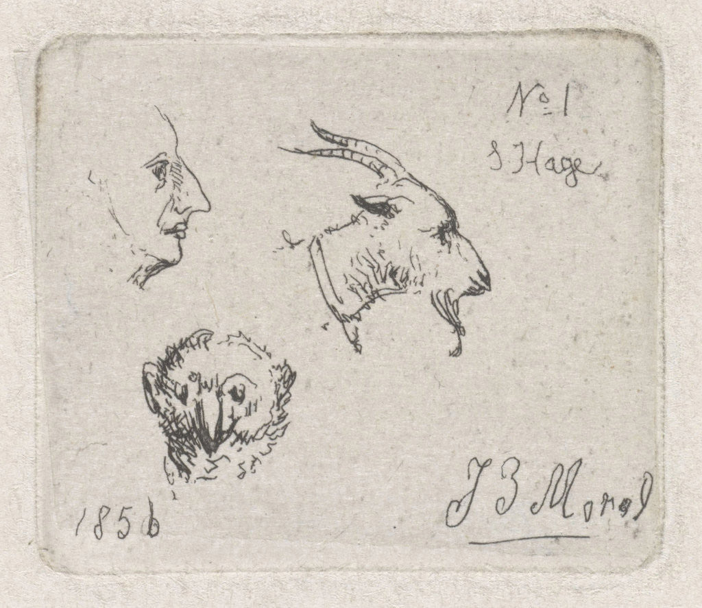 Detail of Mans Head, goat and owl by Jan Evert Morel II