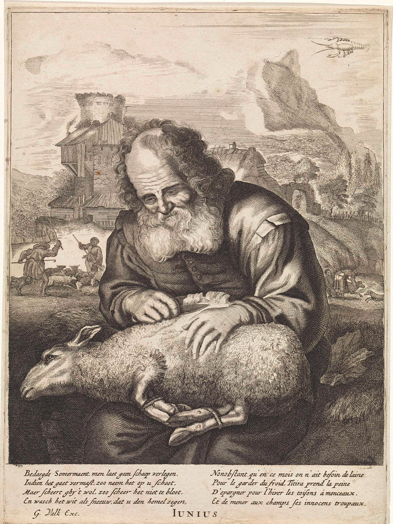 Detail of June: A shepherd shears a sheep by Joachim von Sandrart