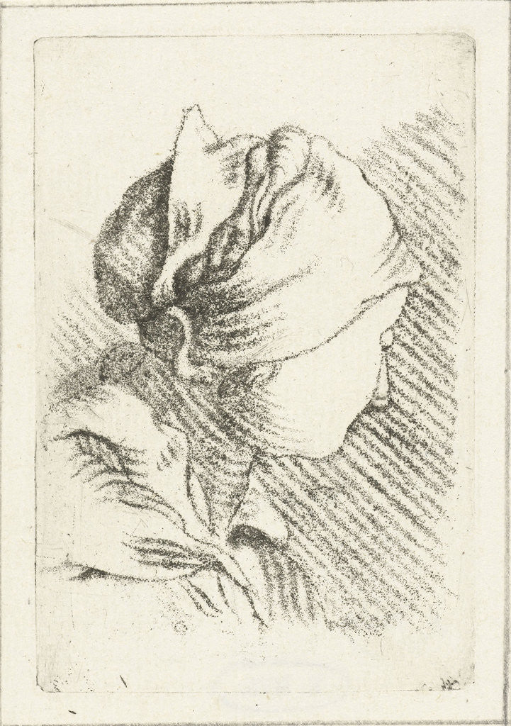 Detail of Study Sheet with a woman with head scarf by Louis Bernard Coclers