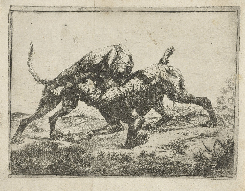 Detail of Fighting dogs by Pauwels van Hillegaert