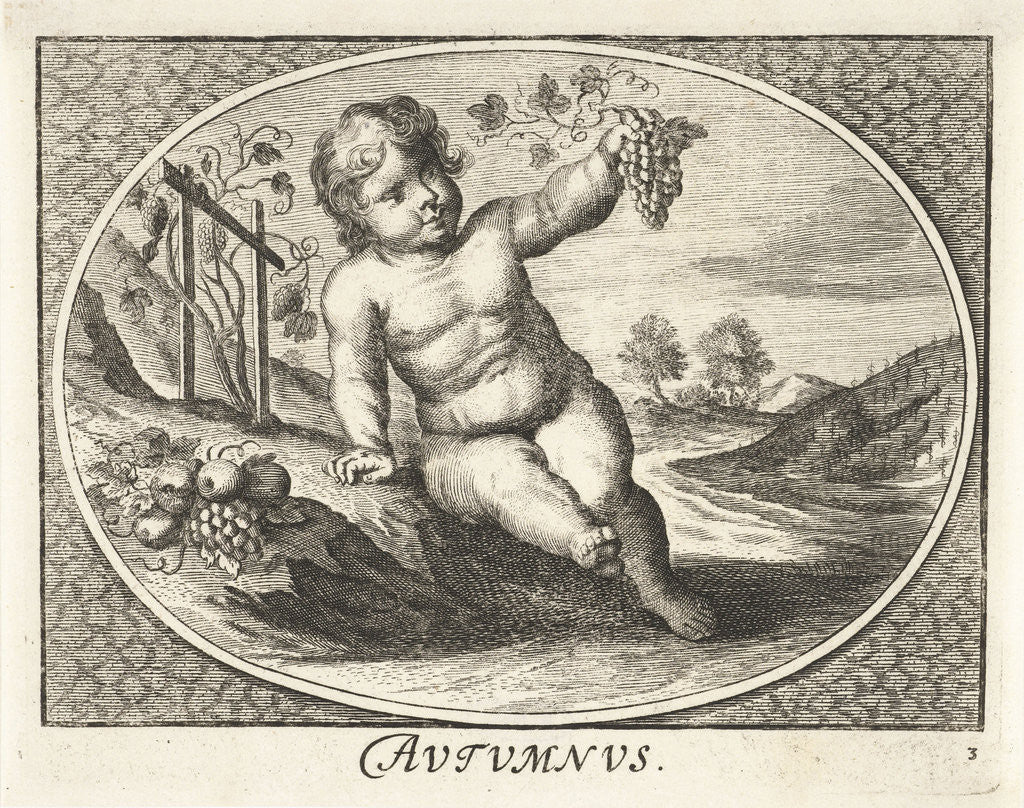 Detail of Autumn in form of child with grapes and fruit in oval by Joh. Christoph Schmidhammer