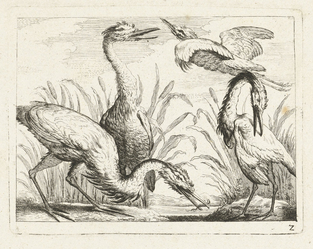 Detail of Herons at a puddle by Peter Casteels III
