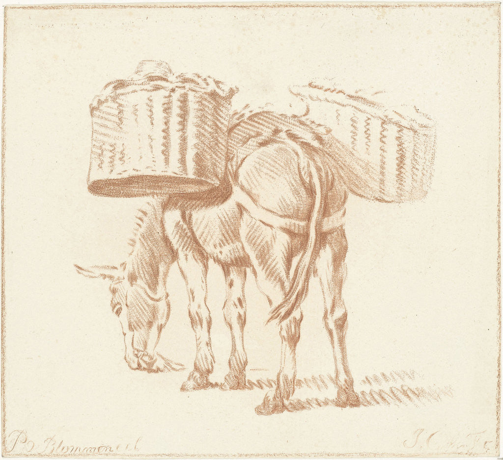 Detail of Loaded donkey by Jurriaan Cootwijck