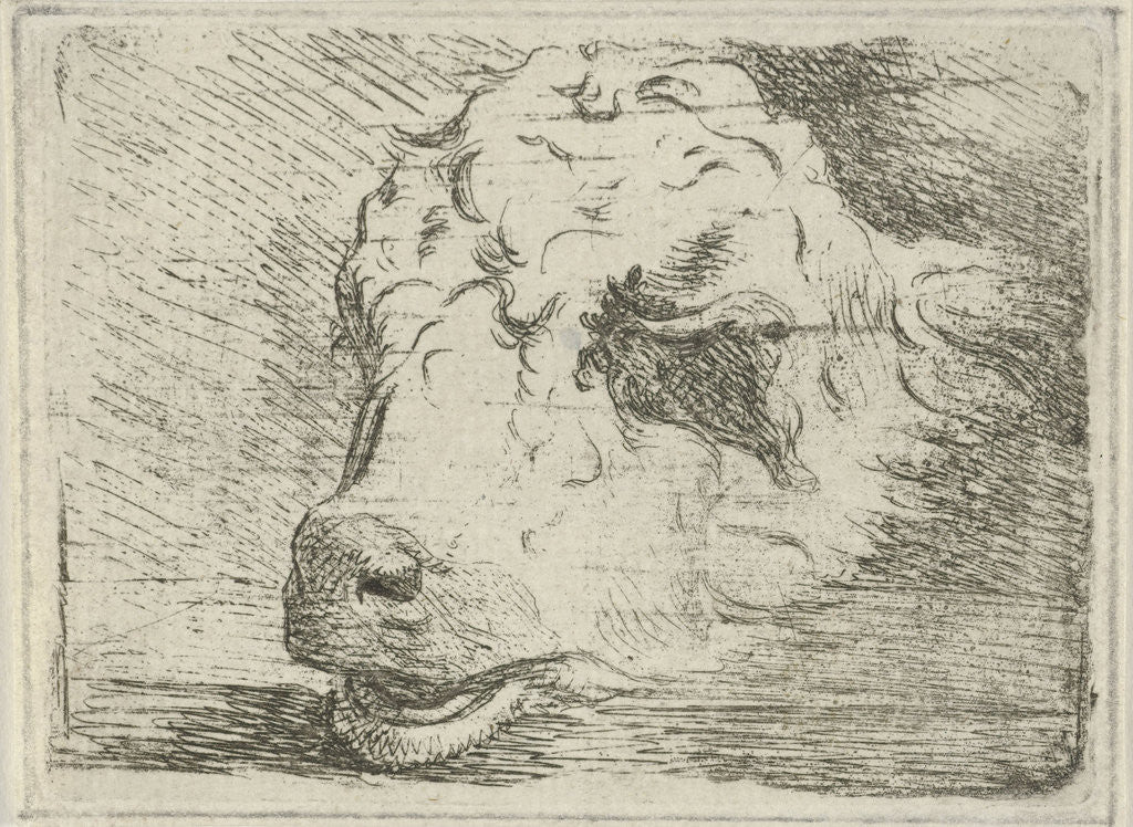 Detail of Head of a calf, resting on a beam by Cornelis Kiliaan