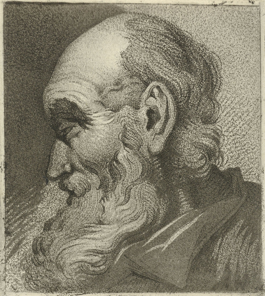 Detail of Portrait of an old man in profile by Hermanus Fock