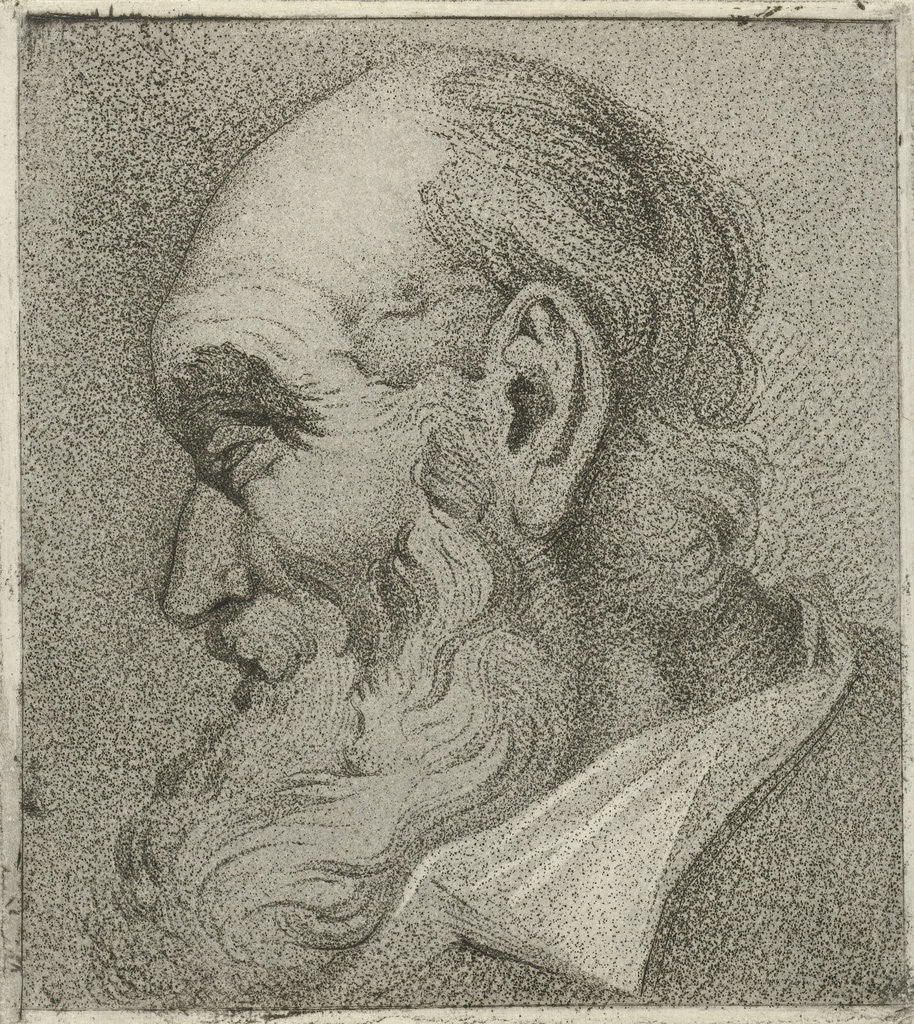 Detail of Portrait of an old man in profile by Hermanus Fock