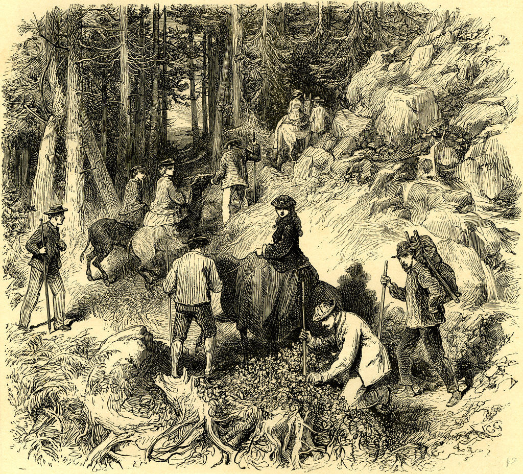 Detail of Ascending the Rigi Switzerland by Anonymous