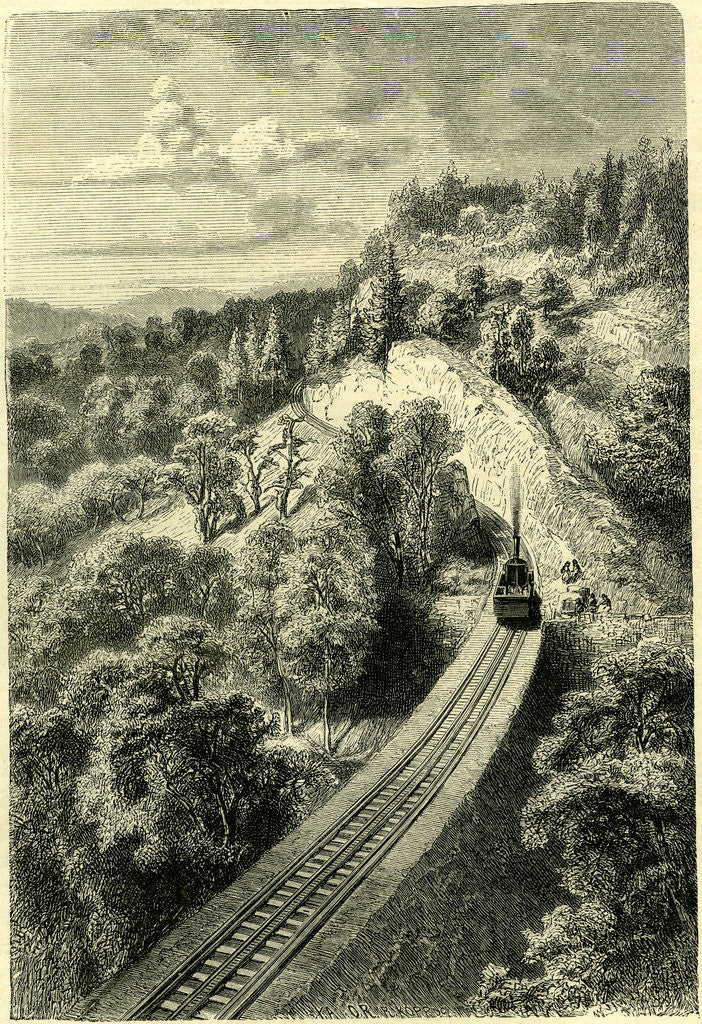 Detail of Railway Up the Rigi Switzerland by Anonymous