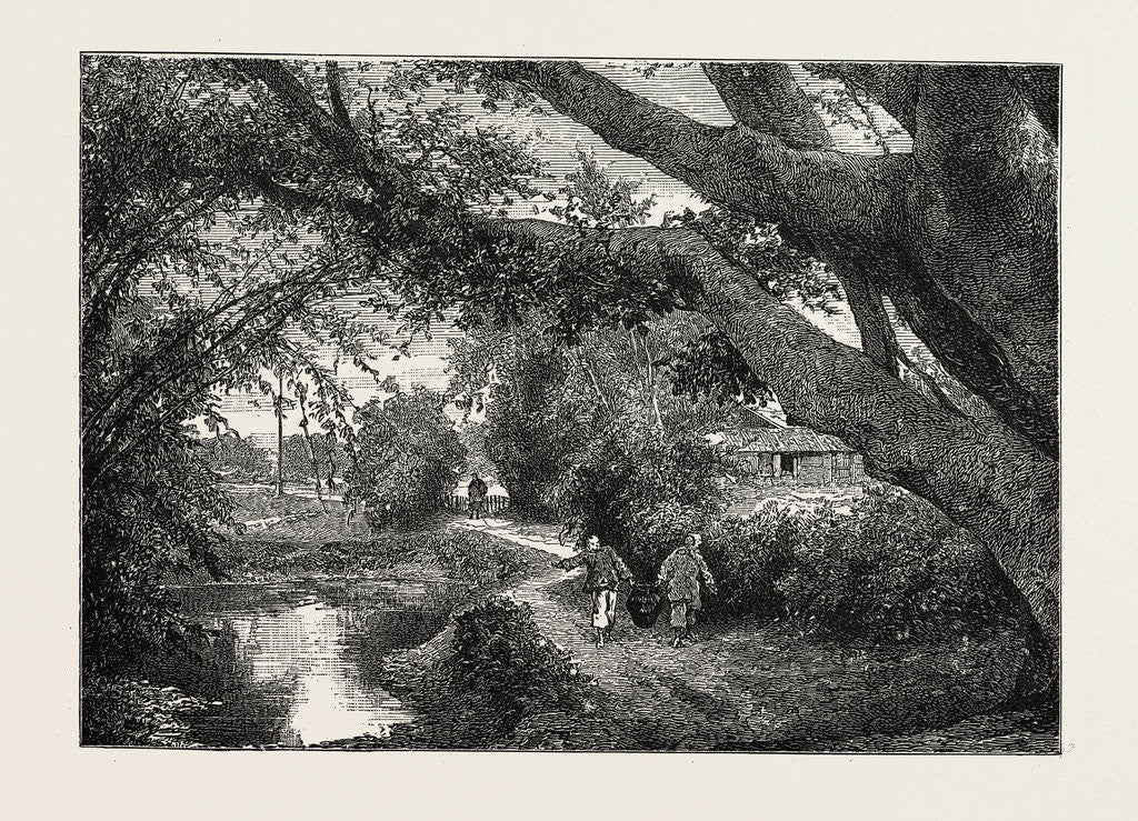 Detail of View in the Village of Wong-Tong, Province of Canton, China by Anonymous